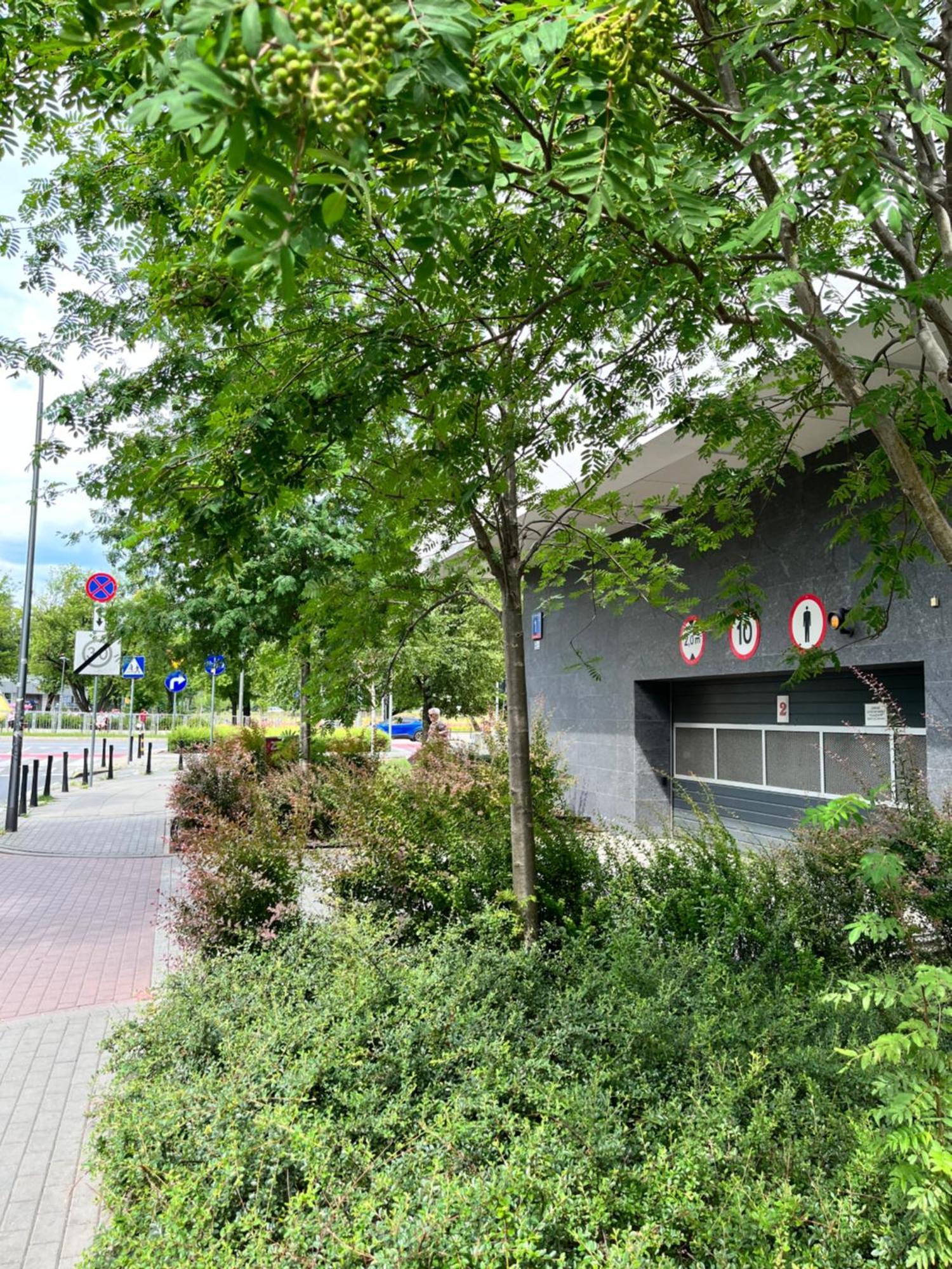 Apartment Metro Slodowiec Free Parking Warsaw Exterior photo